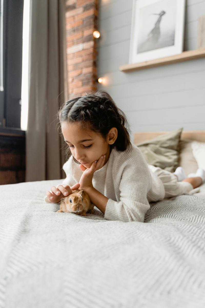 Guinea pig