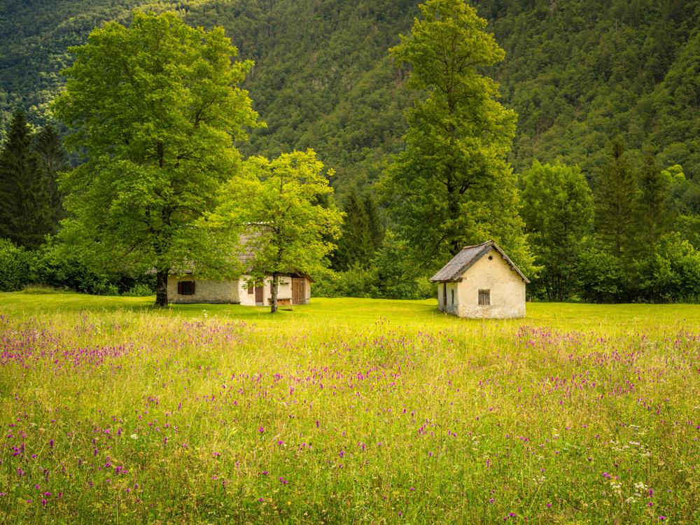 Ojcowski National Park
