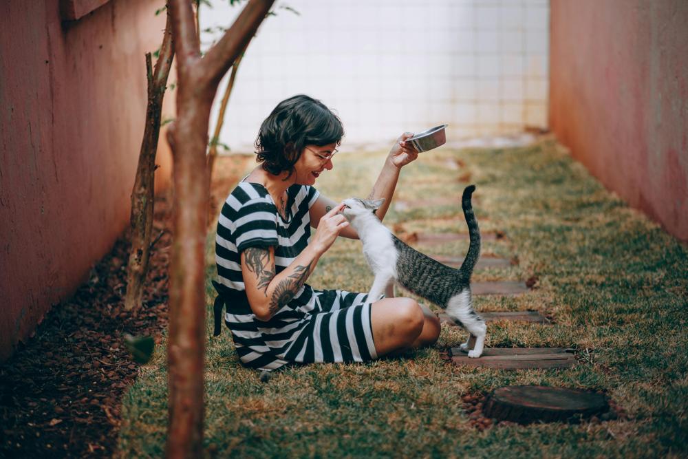 cat feeding