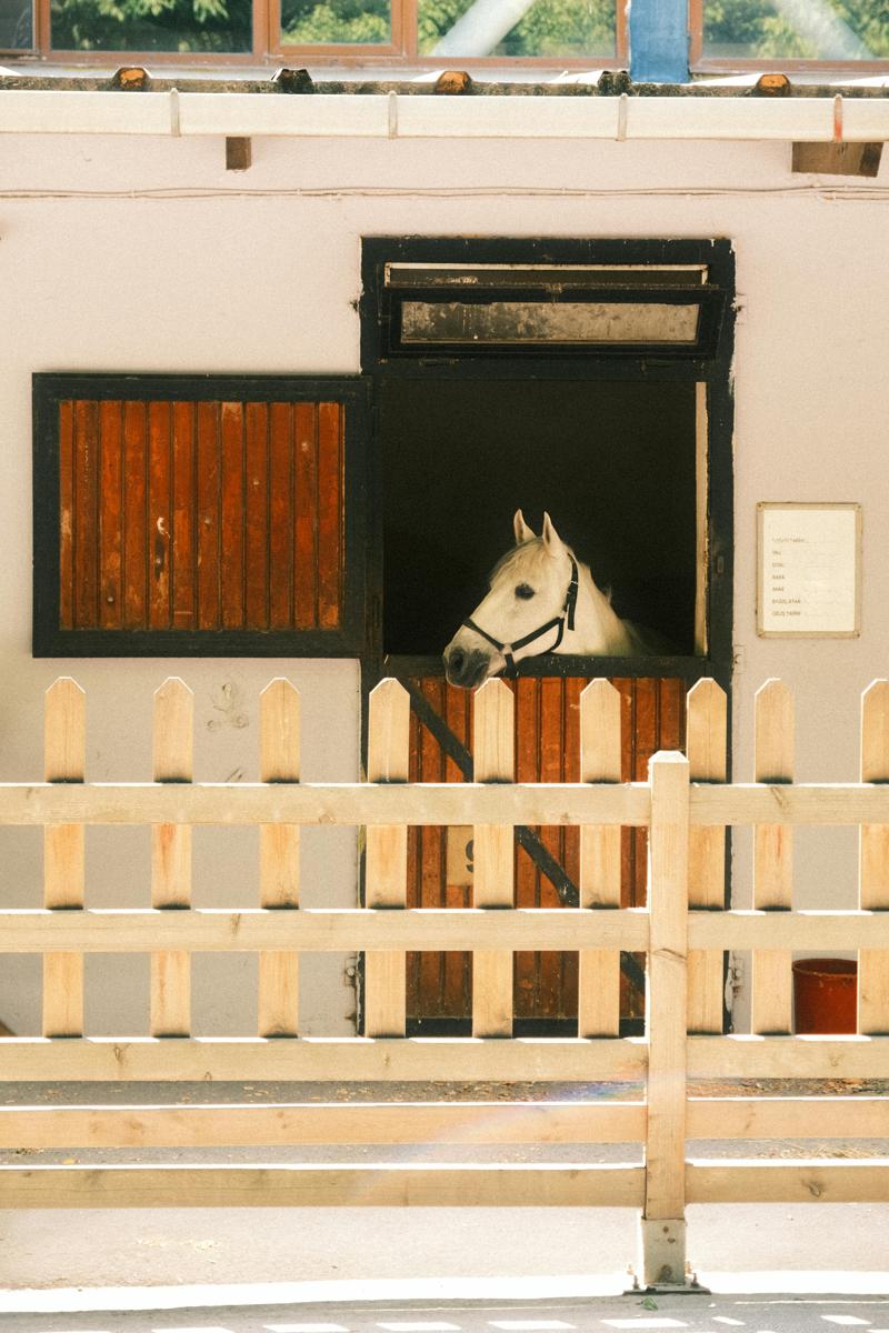 horse stable